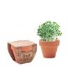 CRESS POT Maceta con semillas de berro