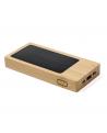 Power Bank Molden