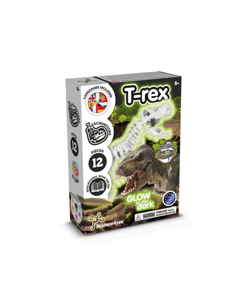 Fossil Excavation Kit I. Juego educativo para niños