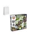 2 in 1 Fossil Excavation Kit II. Juego educativo suministrado con una bolsa de regalo de papel kraft (90 g/m²)