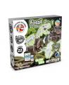 2 in 1 Fossil Excavation Kit II. Juego educativo suministrado con una bolsa de regalo de papel kraft (90 g/m²)