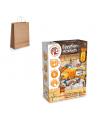 Ancient Egypt Excavation Kit III. Juego educativo suministrado con una bolsa de regalo de papel kraft (115 g/m²)