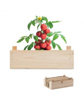 Mini-huerto tomates en caja - Imagen 1