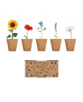 Kit de cultivo de flores