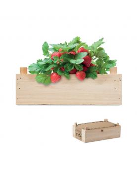 Kit de fresas en caja madera