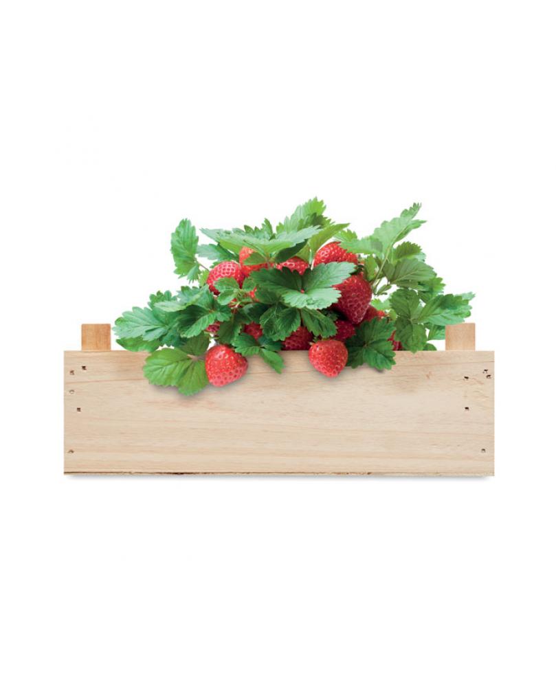 Kit de fresas en caja madera