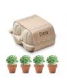 CRESS Kit de cultivo en huevera