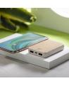 Power Bank Merak